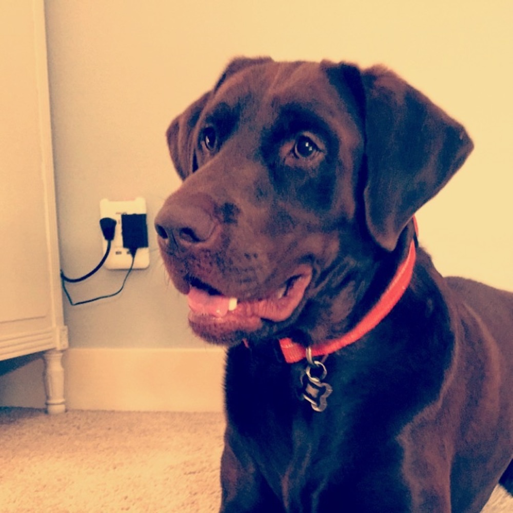 Meet your Posher, Kaitlyn